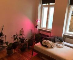 Single apartment, Berlin Charlottenburg, available 29/3-6/4